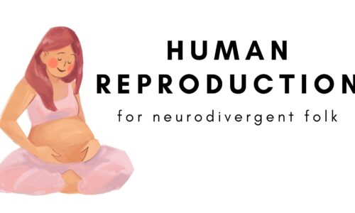 Human Reproduction (Neurodivergent Friendly)