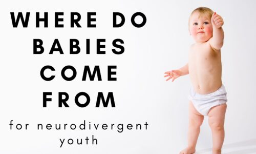 Where to Babies Come Form? (Neurodivergent Friendly)